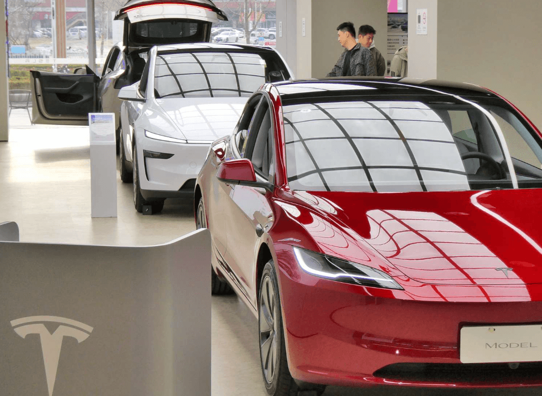 Who Should and Should Not Buy Tesla Stock