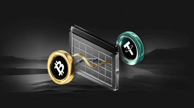 Why Did Dragonfly Pass on the Opportunity to Invest at $0.04 per Token in Solana's Seed Round?